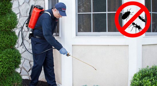 Çorlu Böcek İlaçlama böcek ilaçlama ve haşere kontrolü — ilaclama-tr.com